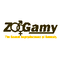 zoogamy-125x125-animate